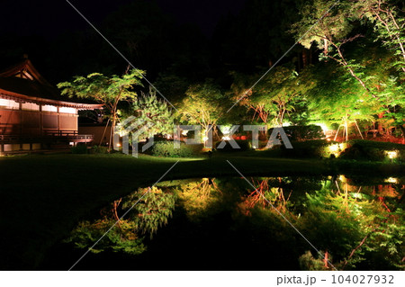 新緑のライトアップ 104027932