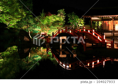 新緑のライトアップ 104027933