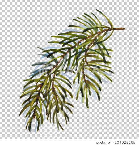 Watercolor Christmas set of fir branch. Hand painted holiday elements with winter plants isolated on white background. Floral illustration for design, print, fabric or background Watercolor Christmas set of fir branch. Hand painted holiday elements with winter plants isolated on white background. Floral illustration for design, print, fabric or background 104028209