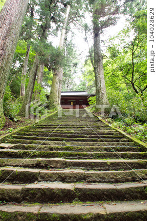 鳳来寺山の石段と仁王門(愛知県新城市) 鳳来寺山の石段と仁王門(愛知県新城市) 104028629