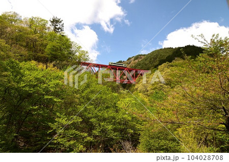 JR釜石線 鬼ヶ沢橋梁 104028708