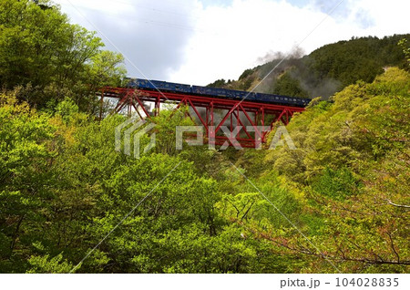 JR釜石線 鬼ヶ沢橋梁を渡るSL銀河 JR釜石線 鬼ヶ沢橋梁を渡るSL銀河 104028835