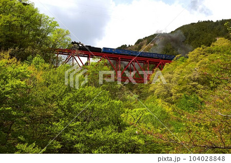 JR釜石線 鬼ヶ沢橋梁を渡るSL銀河 104028848