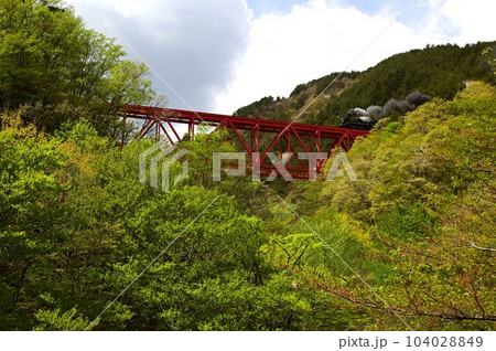 JR釜石線 鬼ヶ沢橋梁を渡るSL銀河 104028849