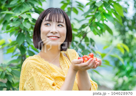 サクランボ狩りをする女性　果物狩りをする女性 104028970