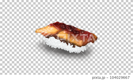 Eel nigiri sushi realistic illustration 104029667