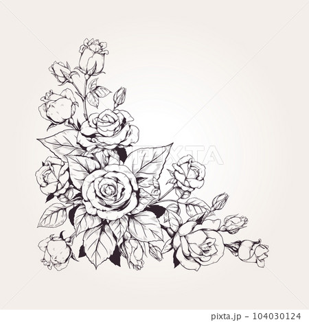 Rose Tattoo Illustration Manuscript, Rat Drawing, Man Drawing, Rose PNG and  Vector with Transparent Background for Free Download