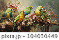 鳥たちの生活 104030449