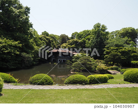 緑の広場 緑の広場 104030907