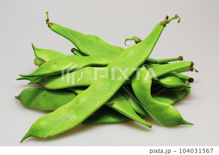 緑鮮やか新鮮健康野菜のモロッコインゲン 104031567