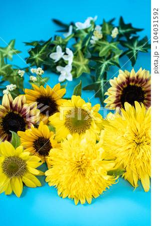 夏の向日葵たち 104031592
