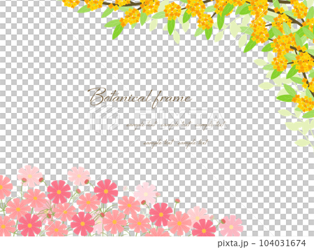 金木犀とコスモスの花が綺麗な秋のフラワーフレーム背景イラスト 104031674