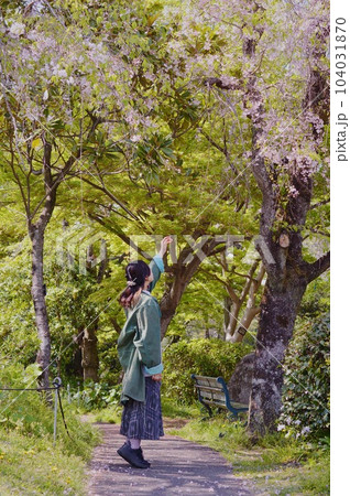 花と触れ合う 104031870