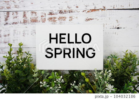 Hello Spring text message with green leaf on wooden background 104032186
