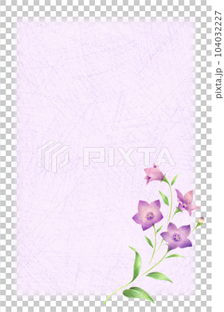 紫色風鈴草花明信片模板簡單與背景手繪彩色鉛筆劃 104032227