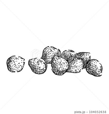 chickpea hummus food sketch hand drawn vector 104032638