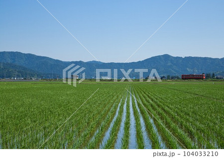 田植えが終わった越美北線沿線 田植えが終わった越美北線沿線 104033210