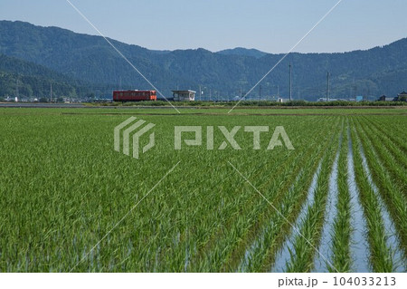 田植えが終わった越美北線沿線 田植えが終わった越美北線沿線 104033213