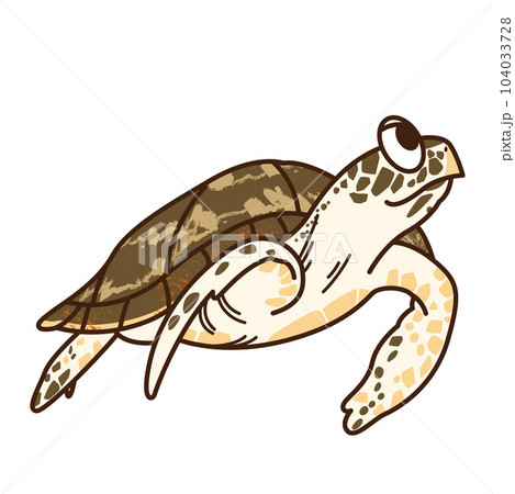 タイマイ 104033728