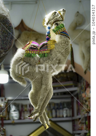 LLama or Alpaca fetuses stillborn, sold to pharmacists aka witches for Bolivian traditional rituals 104034317