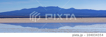 Shallow lagoon in Bolivian High Desert reflects the mountain behind it 104034354