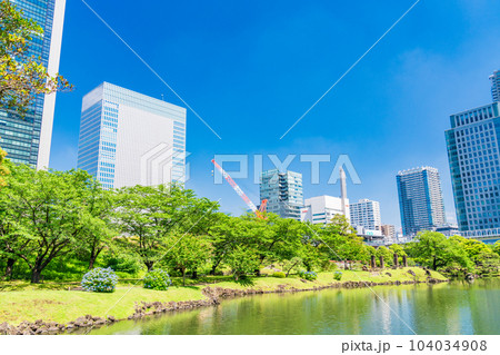 （東京都）青空・新緑・青紫陽花が美しい、初夏の旧芝離宮恩賜庭園 104034908