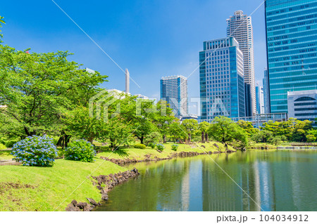 （東京都）青空・新緑・青紫陽花が美しい、初夏の旧芝離宮恩賜庭園 104034912