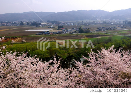 史跡和賀氏飛勢城跡の桜のある風景 104035043