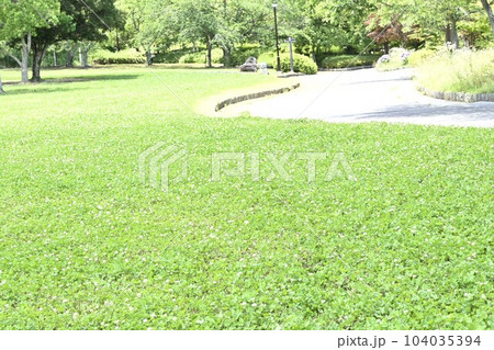 夏木立ちの下に小さな木陰 夏木立ちの下に小さな木陰 104035394