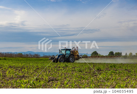Agricultural tractor spraying field Agricultural tractor spraying field 104035495