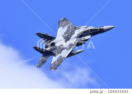 F-15戦闘機（アグレッサー部隊） 104035691