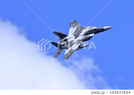F-15戦闘機（アグレッサー部隊） 104035694