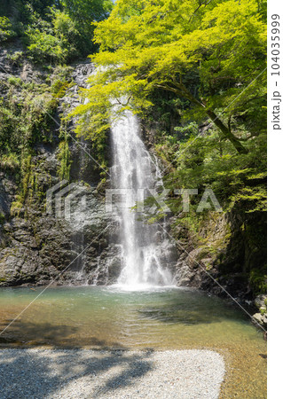箕面大滝(明治の森箕面国定公園) 箕面大滝(明治の森箕面国定公園) 104035999