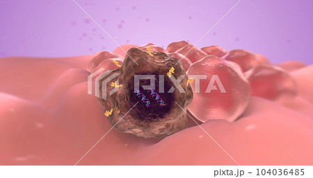 The abnormal gene is known as an oncogene because it causes tumor growth. 104036485