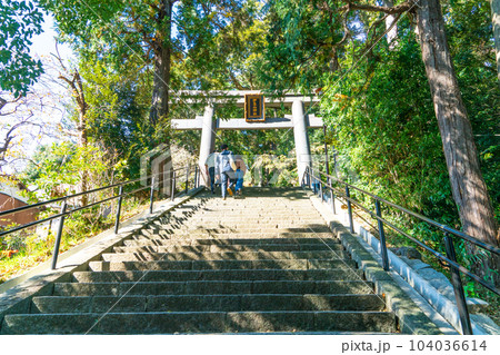 伊豆山神社 秋の木漏れ日の参道2 静岡県熱海市 伊豆山神社 秋の木漏れ日の参道2 静岡県熱海市 104036614