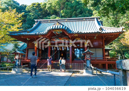 伊豆山神社　秋の木漏れ日の境内2　静岡県熱海市 104036619