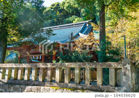 伊豆山神社 秋の木漏れ日の境内3 静岡県熱海市 伊豆山神社 秋の木漏れ日の境内3 静岡県熱海市 104036620