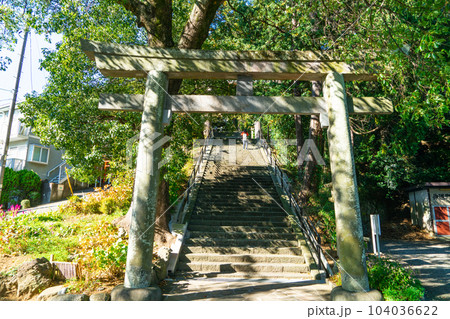 伊豆山神社 秋の木漏れ日の参道3 静岡県熱海市 伊豆山神社 秋の木漏れ日の参道3 静岡県熱海市 104036622