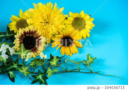 夏の向日葵たち 104036715
