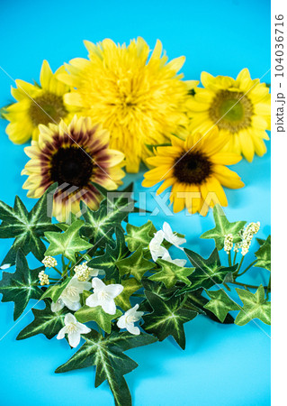 夏の向日葵たち 夏の向日葵たち 104036716