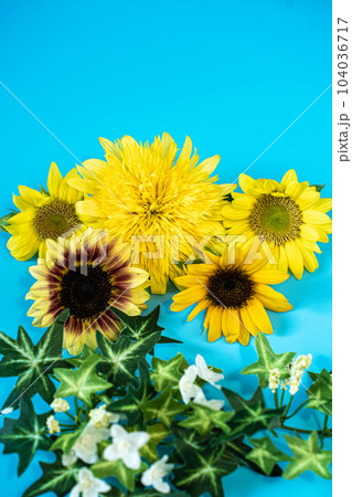 夏の向日葵たち 夏の向日葵たち 104036717