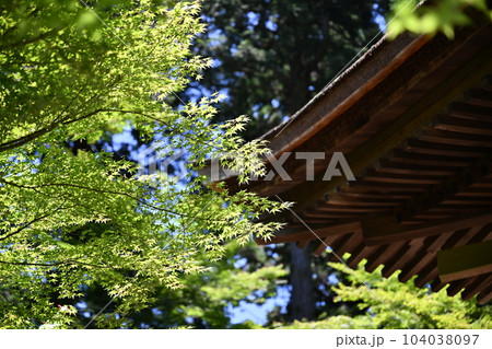 金剛輪寺 金剛輪寺 104038097