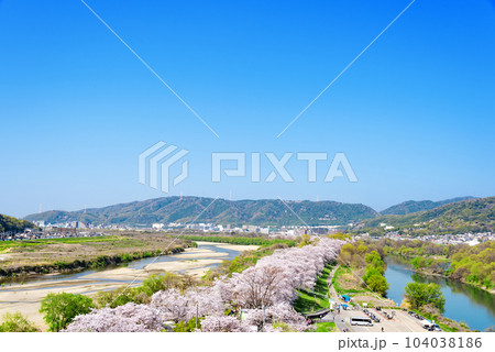 京都府八幡市 背割堤の桜 展望塔からの眺め 京都府八幡市 背割堤の桜 展望塔からの眺め 104038186