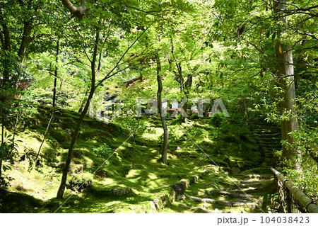 西明寺 104038423