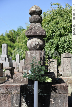 大善寺亀姫の墓所 大善寺亀姫の墓所 104038953