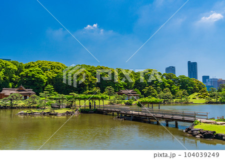 （東京都）東京の安らぎ空間・浜離宮恩賜庭園　初夏 104039249