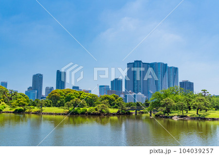(東京都)東京の安らぎ空間・浜離宮恩賜庭園 初夏 (東京都)東京の安らぎ空間・浜離宮恩賜庭園 初夏 104039257