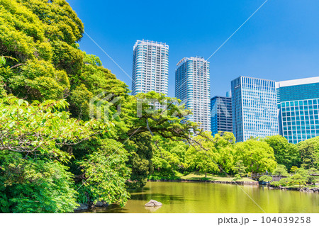 （東京都）東京の安らぎ空間・浜離宮恩賜庭園　初夏 104039258