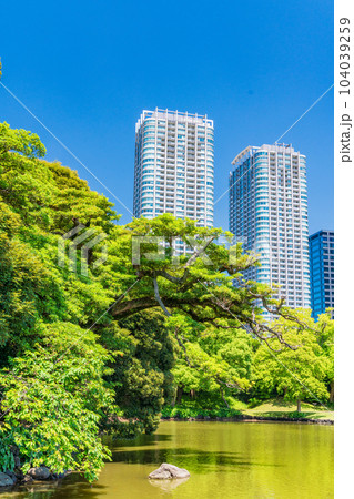 (東京都)東京の安らぎ空間・浜離宮恩賜庭園 初夏 (東京都)東京の安らぎ空間・浜離宮恩賜庭園 初夏 104039259