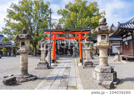 奈良県橿原市 今井町春日神社 奈良県橿原市 今井町春日神社 104039260